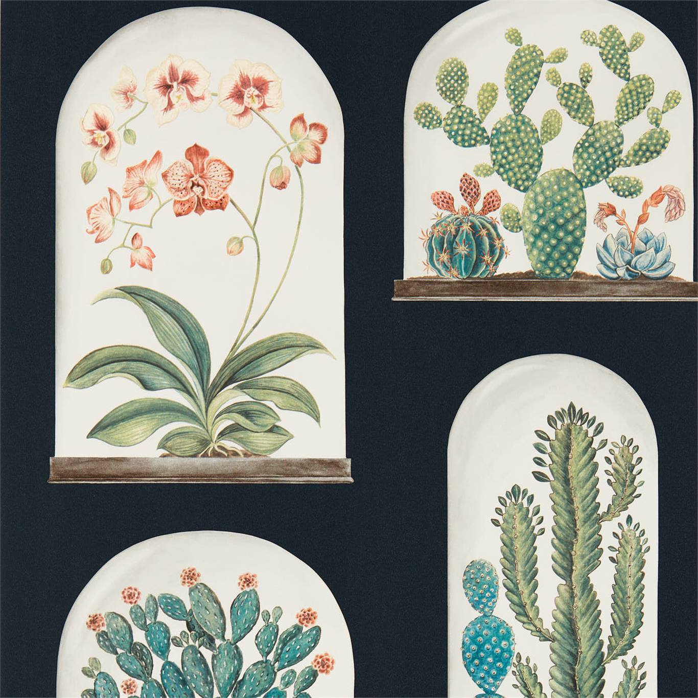 Terrariums Ink/Multi