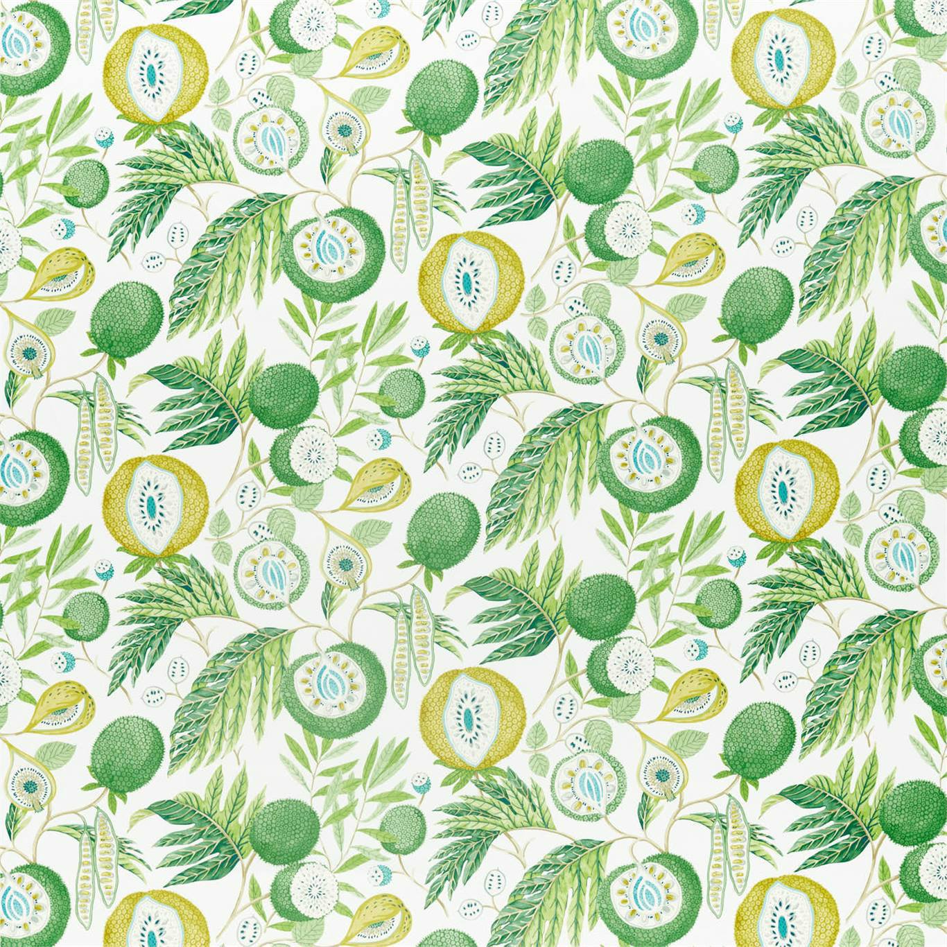 Jackfruit Jackfruit Botanical Green